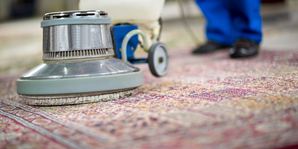 Can You Improve Air Quality with At-Home Carpet Cleaning Methods?